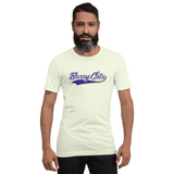 Bussy Cats Softball Team Vers